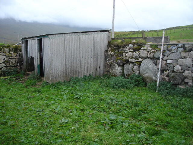 SHG24520_8.jpg