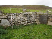 SHG24520_8d.jpg