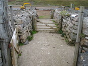 SHG24520_10.jpg