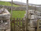 SHG24520_12.jpg