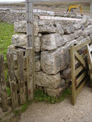 SHG24520_13.jpg