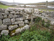 SHG24520_15.jpg