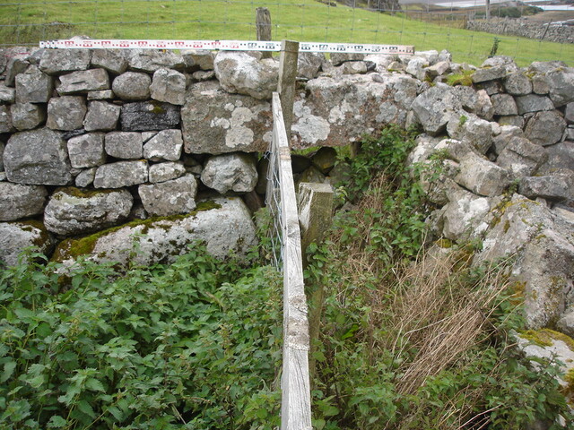 SHG24520_16.jpg