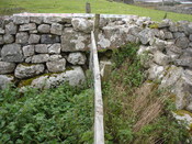 SHG24520_16.jpg