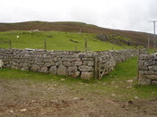 SHG24520_18.jpg