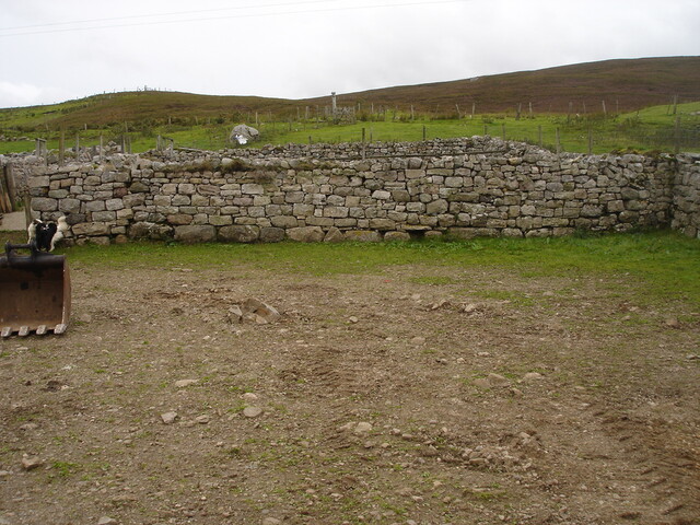 SHG24520_19.jpg