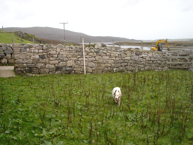 SHG24520_21.jpg