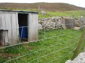 SHG24520_22.jpg