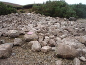 SHG24520_29.jpg