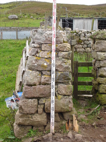 SHG24520_30.jpg