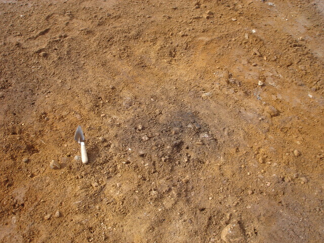 SHG24520_40.jpg
