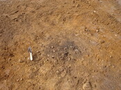 SHG24520_40.jpg