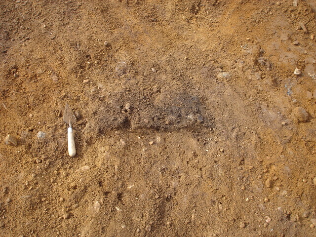 SHG24520_41.jpg