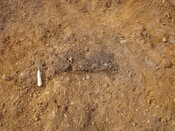 SHG24520_41.jpg