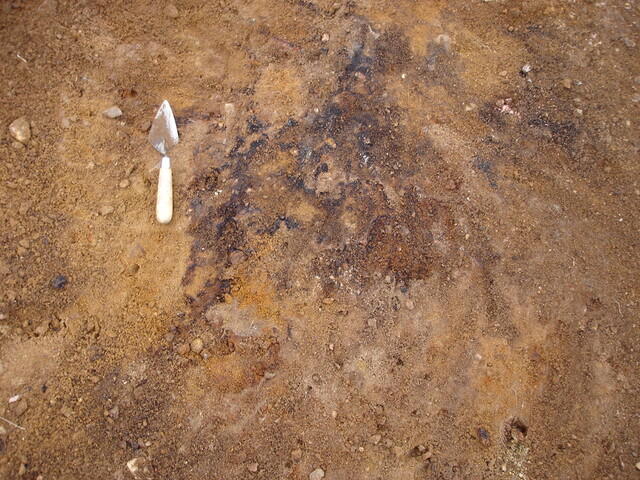 SHG24520_42.jpg