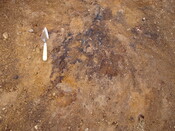 SHG24520_42.jpg