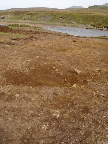 SHG24520_44.jpg