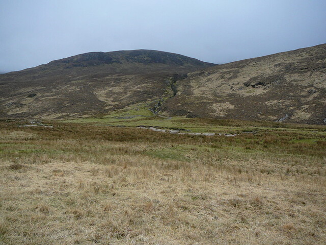 SHG24525_1.JPG