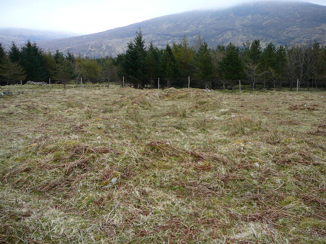 SHG24525_10.JPG