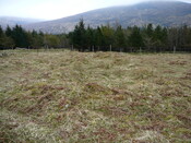 SHG24525_10.JPG