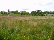 dornoch 014.jpg