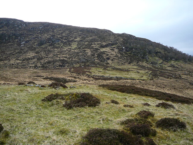 SHG24525_13.JPG