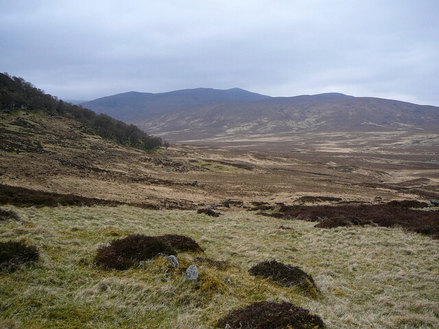 SHG24525_14.JPG