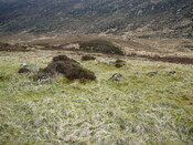 SHG24525_15.JPG