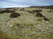 SHG24525_16.JPG