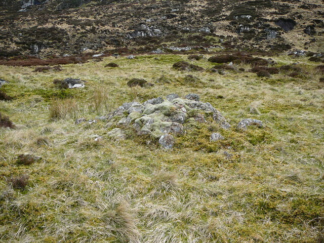 SHG24525_17.JPG