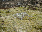 SHG24525_17.JPG