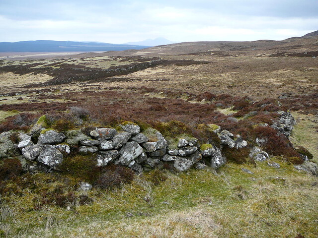 SHG24525_18.JPG