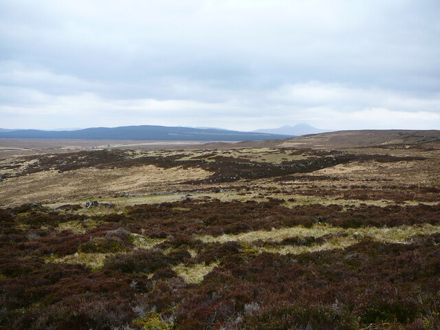 SHG24525_19.JPG