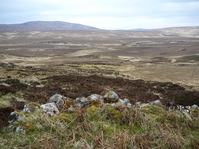 SHG24525_20.JPG