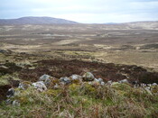 SHG24525_20.JPG