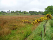 dornoch 017.jpg