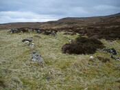 SHG24525_21.JPG