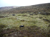 SHG24525_22.JPG