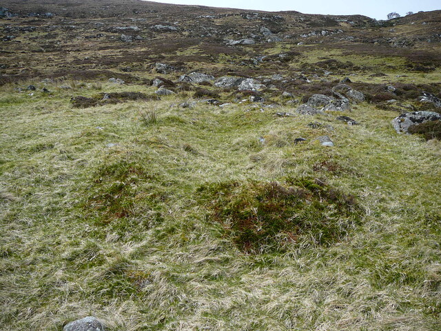 SHG24525_24.JPG
