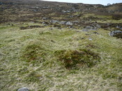 SHG24525_24.JPG