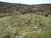 SHG24525_25.JPG