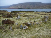 SHG24525_26.JPG