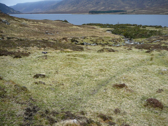 SHG24525_28.JPG