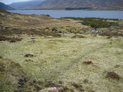 SHG24525_28.JPG