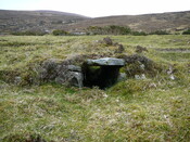 SHG24525_32.JPG