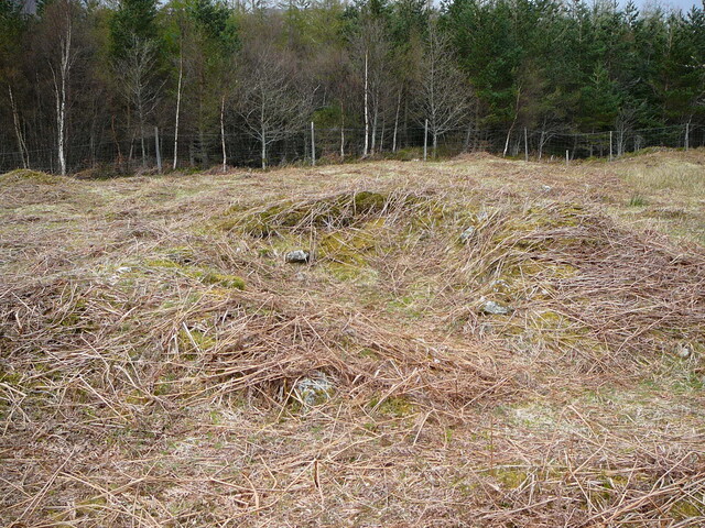 SHG24525_34.JPG