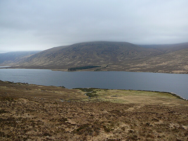 SHG24525_35.JPG