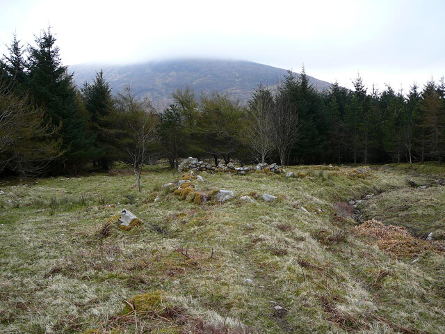 SHG24525_5.JPG