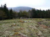 SHG24525_5.JPG