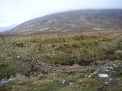 SHG24525_6.JPG